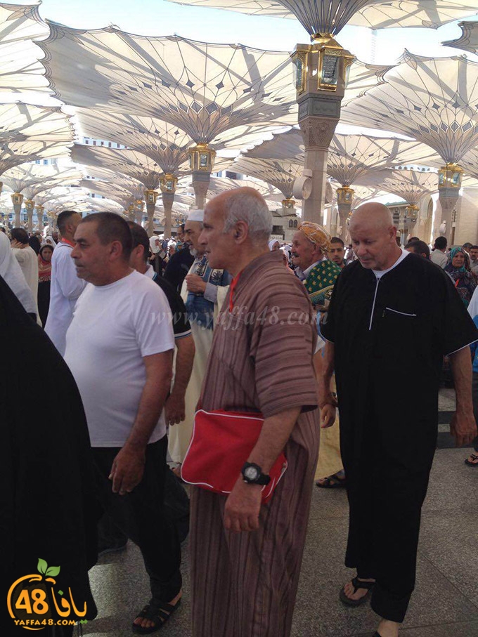 mo3tmren foj 4 (4).JPG